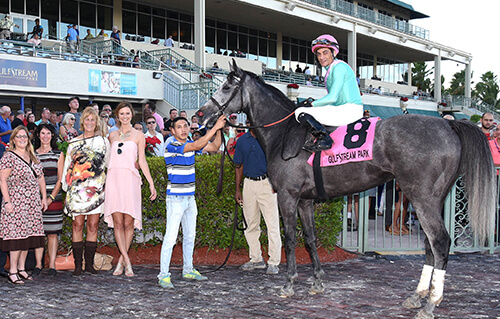 Tutti with owners after win at  $100,000 South Beach in December at Gulfstream Park. From left, partners Diane Cerulli, Lynne Cassimeris, Candy Mortenson, Megan Jones. Photo by Coglianese