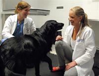 Brody visits with Dr. Agnello and Dr. Cioffi for a check-up.
