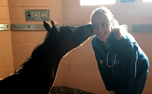 Dr. Michelle Linton receives a kiss from Epona Eleison