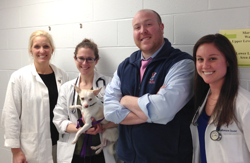 At Penn Vet, we take a team-based approach to treating our patients.
