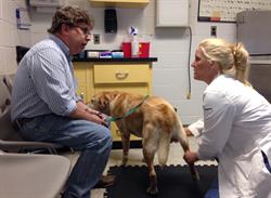 Dr. Cara Blake tests Maxine's leg during a physical examination.