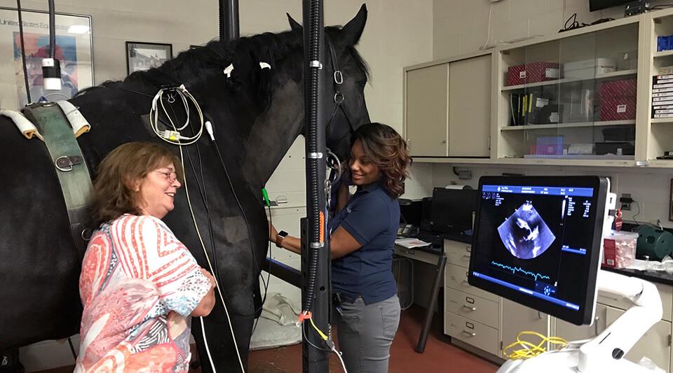 Dr. Virginia Reef (left) and vet student Janysha Taylor view Tiffany's heart using an echocardiogram