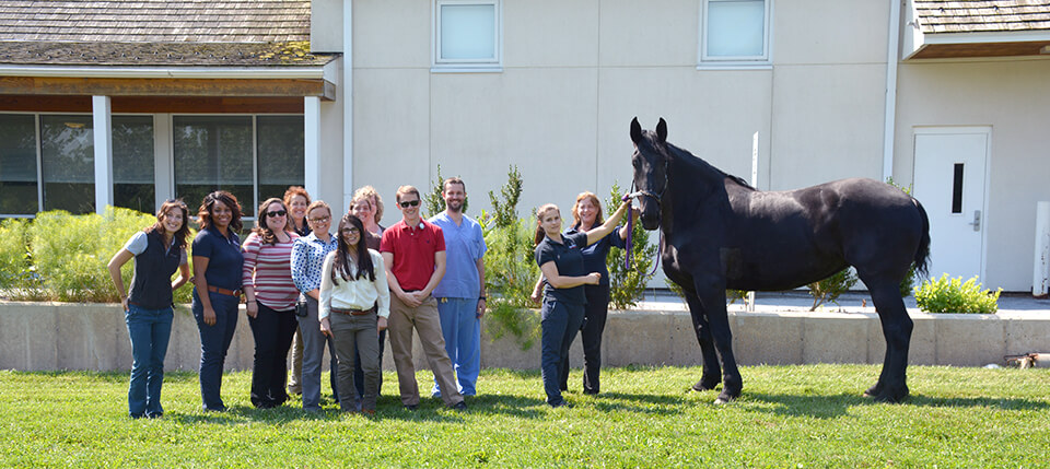 Team Tiffany stands with her outside the Scott Equine Sports Medicine building