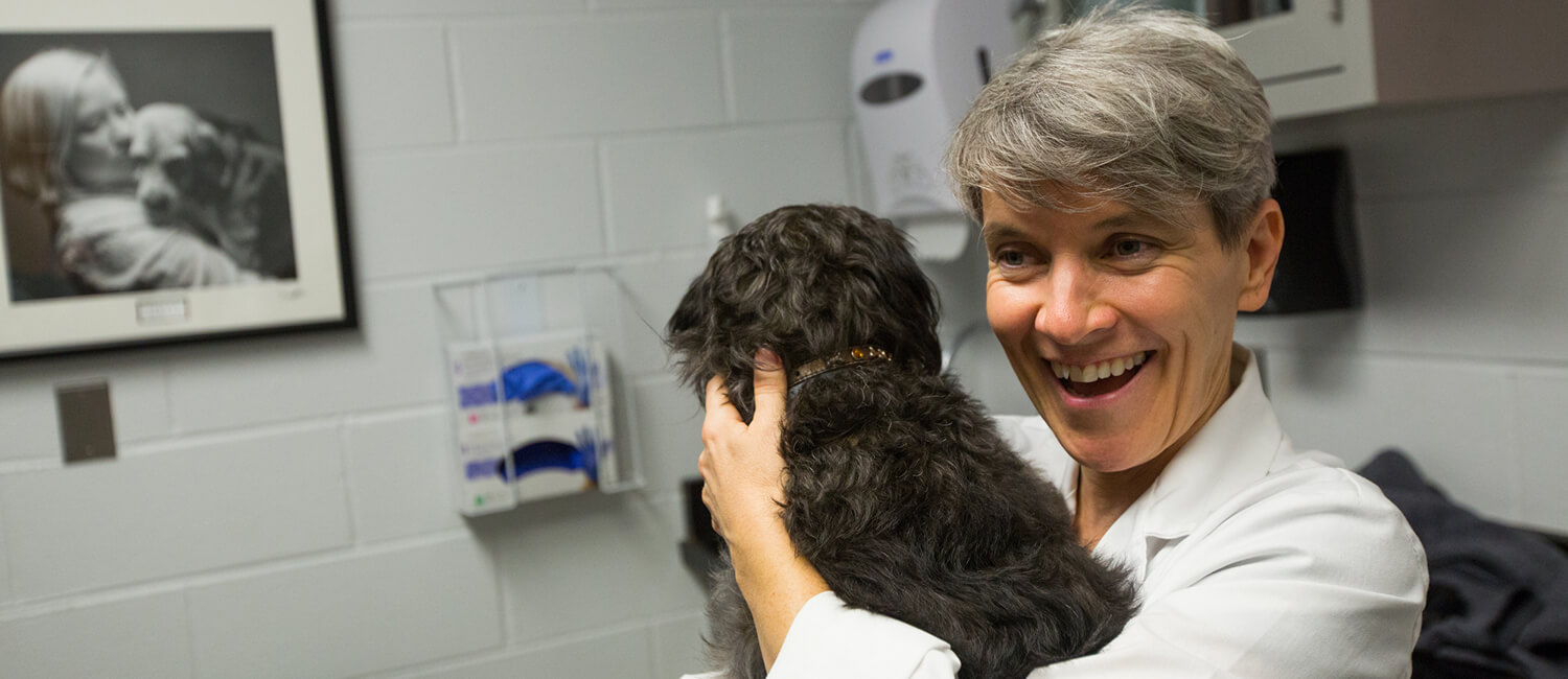 Immunotherapy has proved a breakthrough in care for both humans and pets. Veterinarian and scientist Nicola Mason has employed a cancer vaccine to prolong life in dogs with osteosarcoma. 