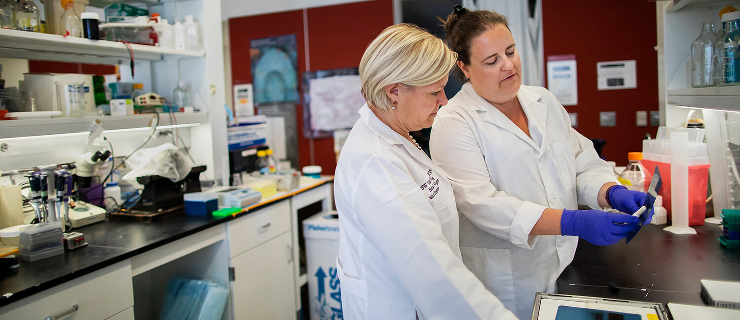 As a scientist and small animal surgeon, Susan Volk (at left), hopes her progress in the lab will 