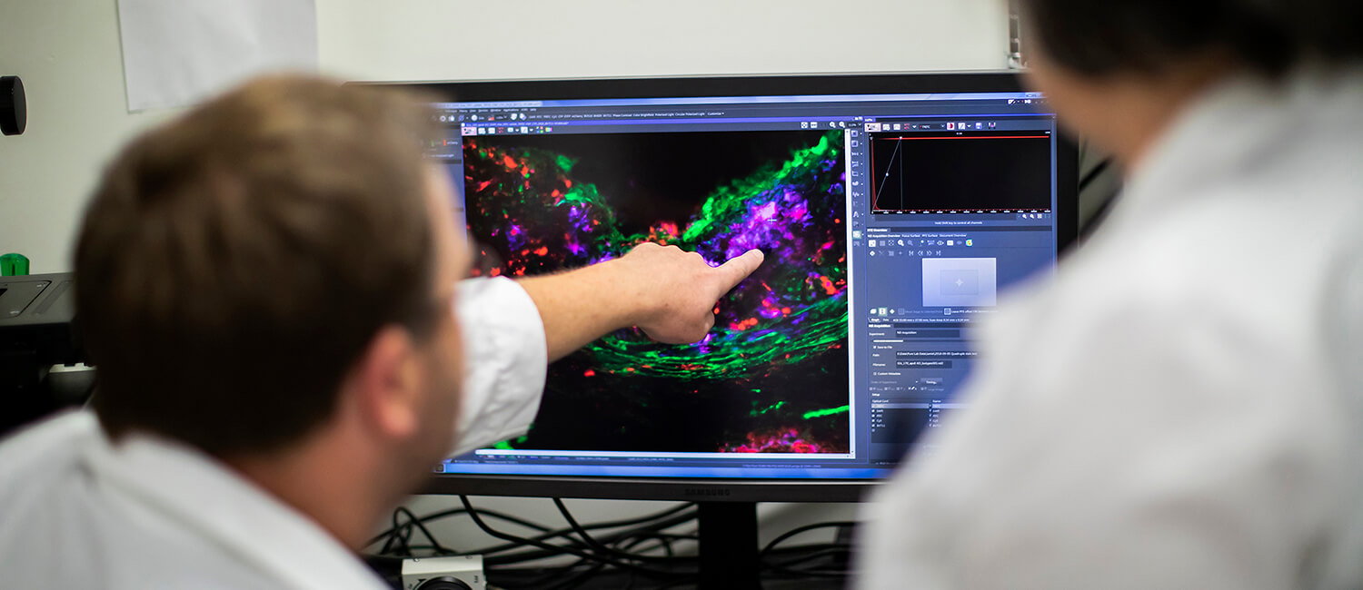 James Monslow, a senior research investigator, discusses an experimental image with Ellen Puré. Puré’s lab is working to develop new treatment strategies that influence the tumor microenvironment to impede cancer’s spread.