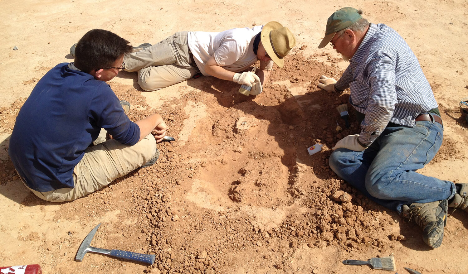 In 2015 on a field excursion to China’s Gansu Province, Dodson (right) observes as students Tanner Frank and Adam Laing work carefully to extract a small dinosaur’s femur and vertebrae from the earth. (Image: Steven Jasinski)