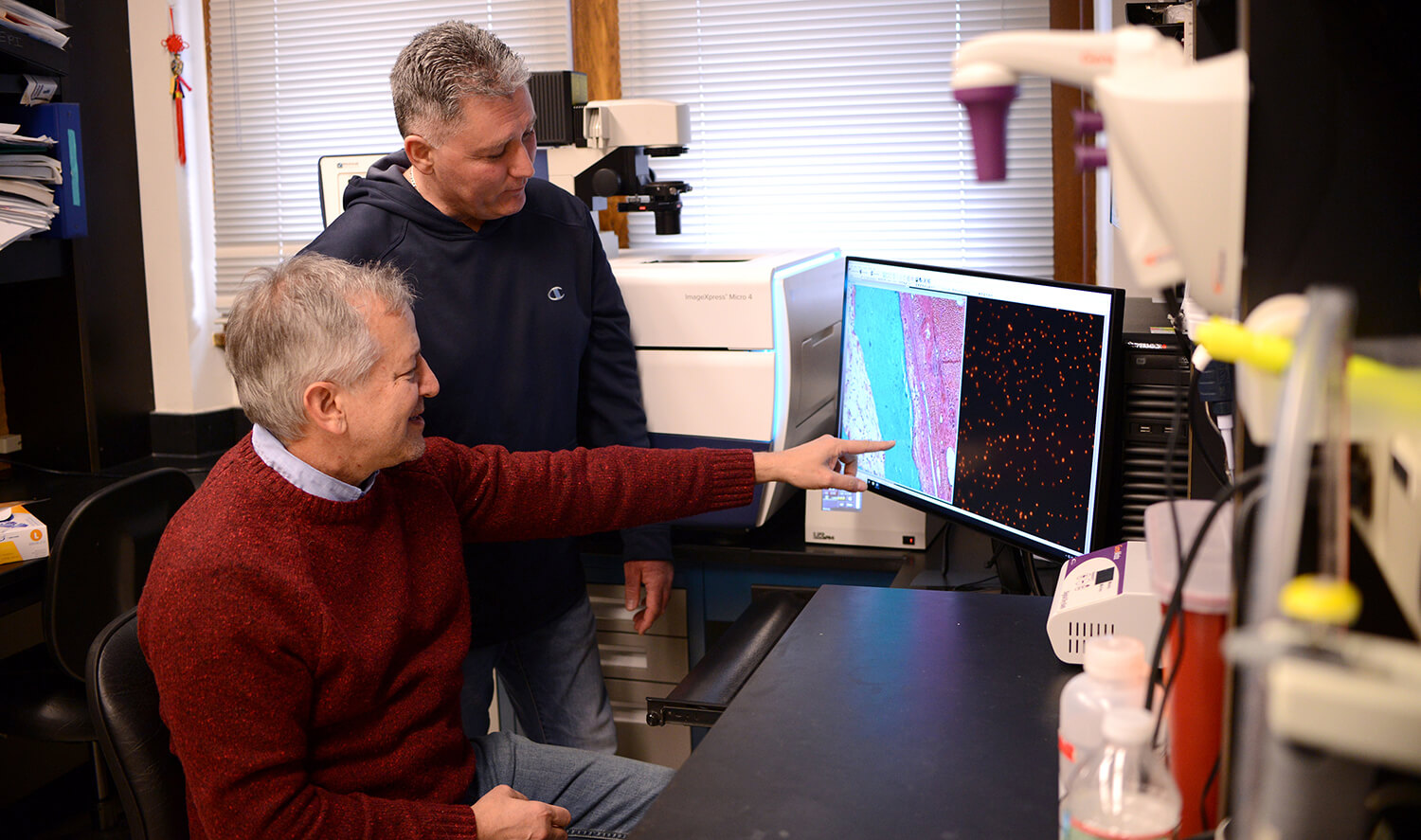 A lasting collaboration between Penn Vet’s Freedman (seated) and Harty is giving rise to promising compounds for targeting Ebola. The pair’s company, Intervir, is now working to refine inhibitor molecules they hope will prove effective at quelling Ebola infections in animal models—and one day, humans.
