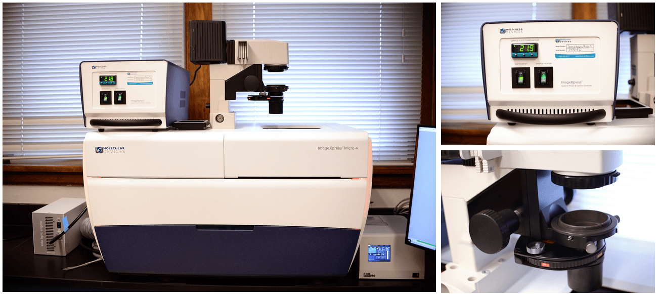 A new piece of equipment at Penn Vet, a high-content imaging system, will enable researchers to acquire images of whole organisms and cellular or intracellular events as they happen. The technology will be used to evaluate viral inhibitors.