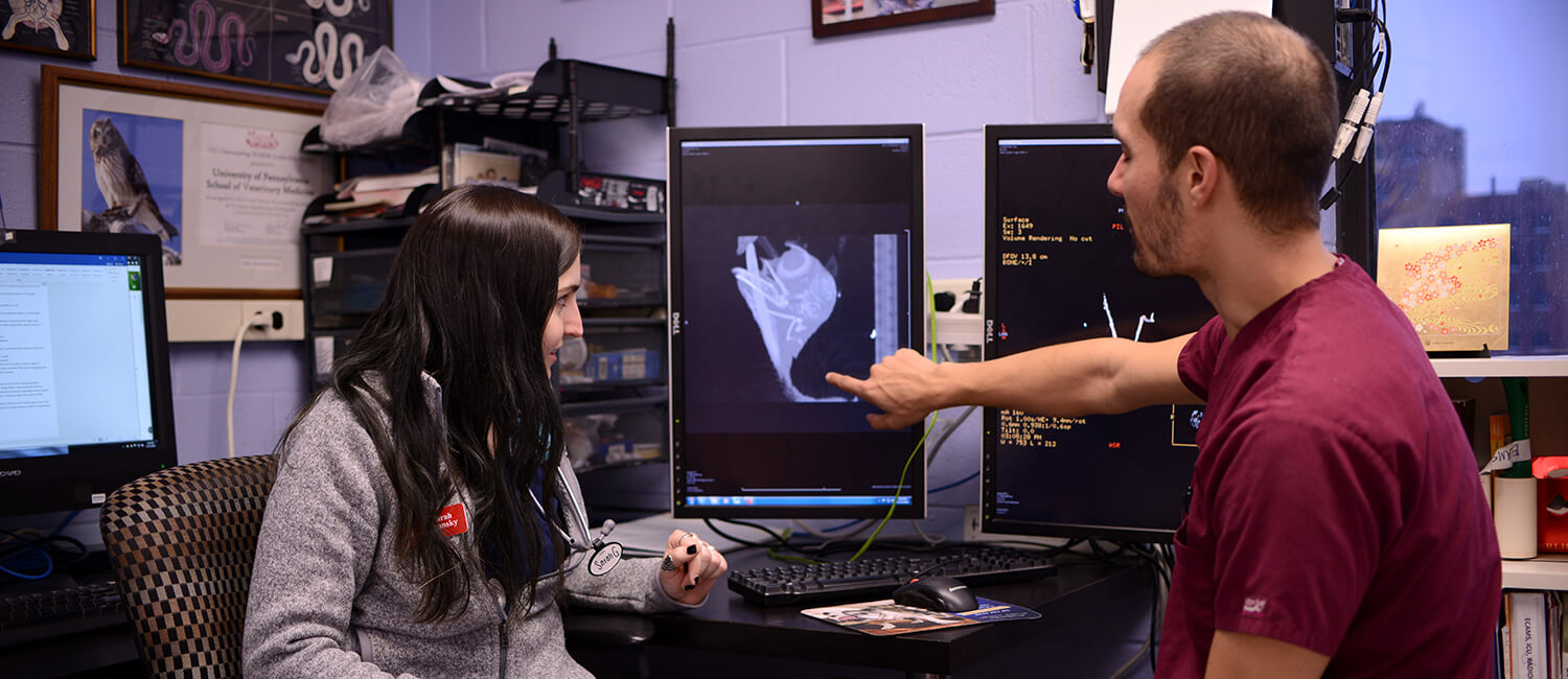 Vet student Sarah Gronsky, consulting with DiGeronimo on a radiograph, worked as an exotic companion animal nurse at Ryan Hospital last summer to enhance her training.