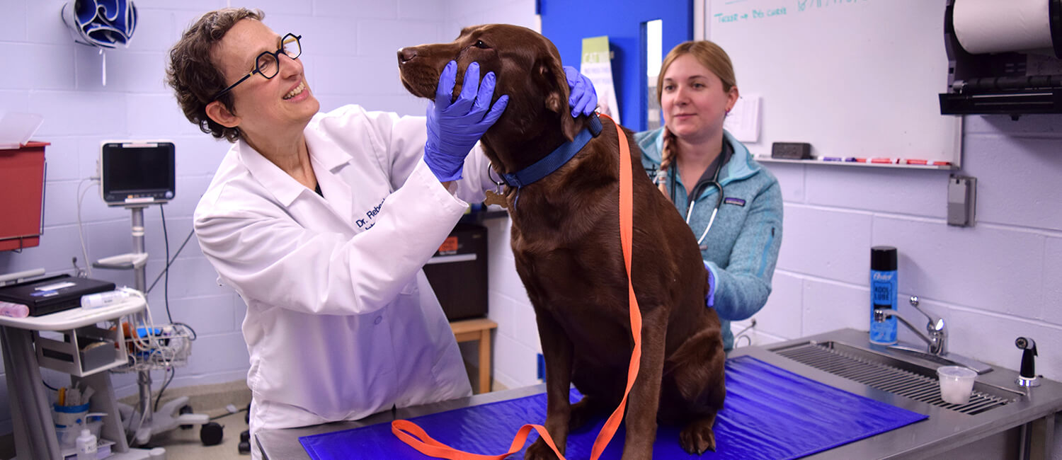 Dr. Rebecka Hess leads a physical examination with a student.