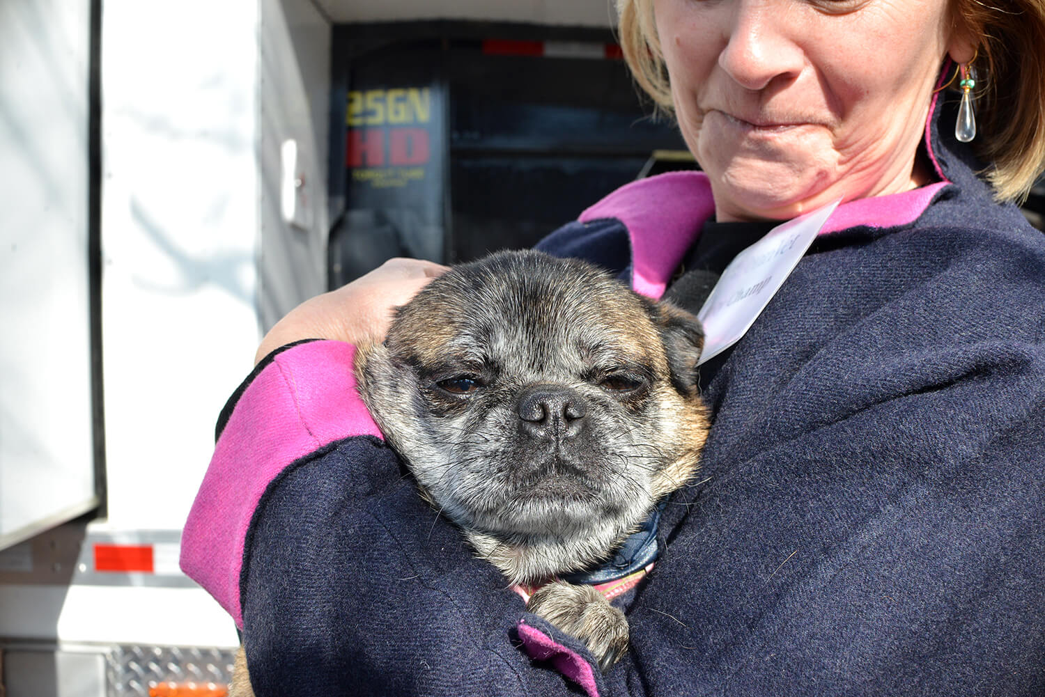 Special guests at the event included canine beneficiaries of the Shelter Medicine program, like this pug, Tupug.