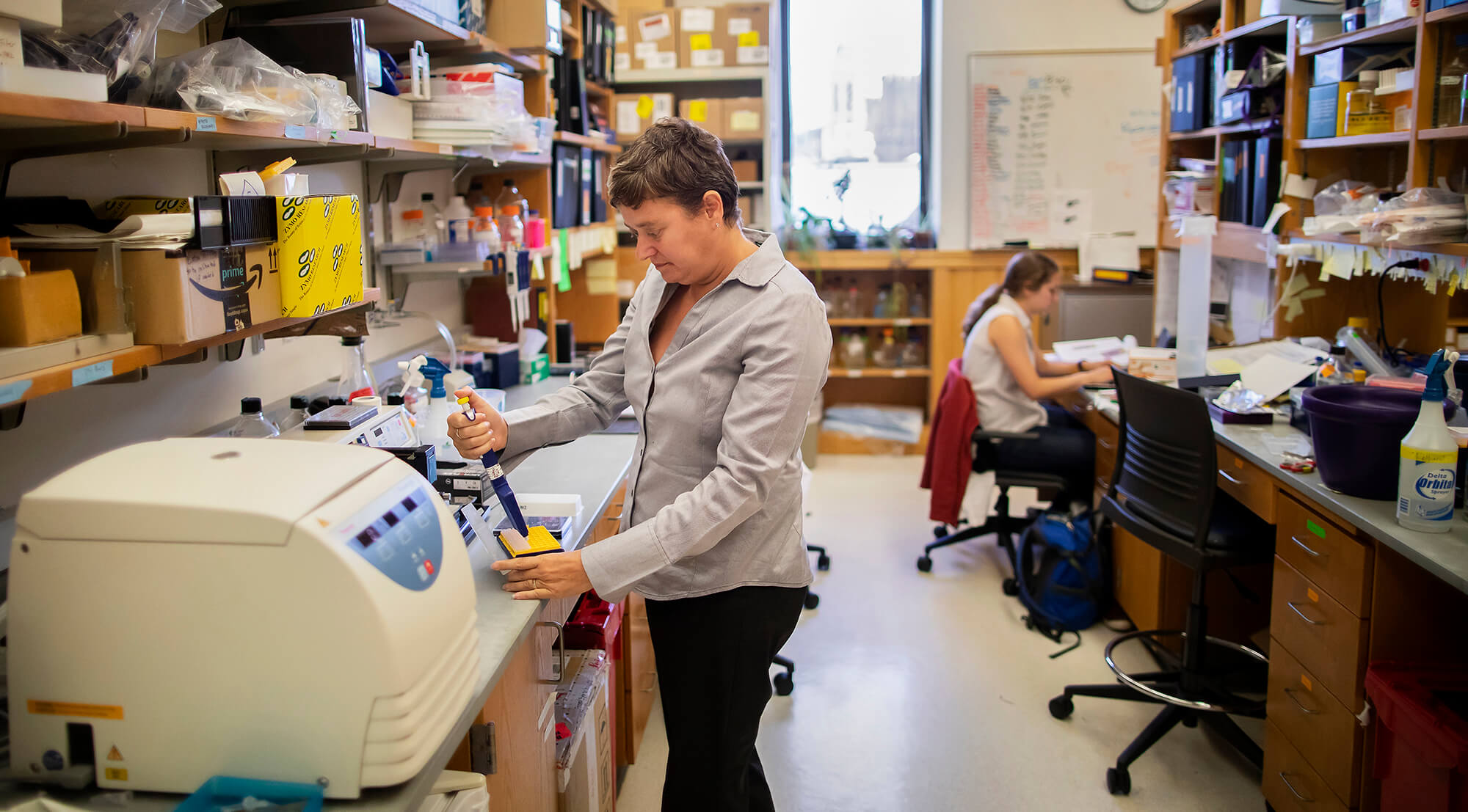 Sara Cherry, a professor of microbiology in the Perelman School of Medicine, studies viruses transmitted by mosquitoes. 