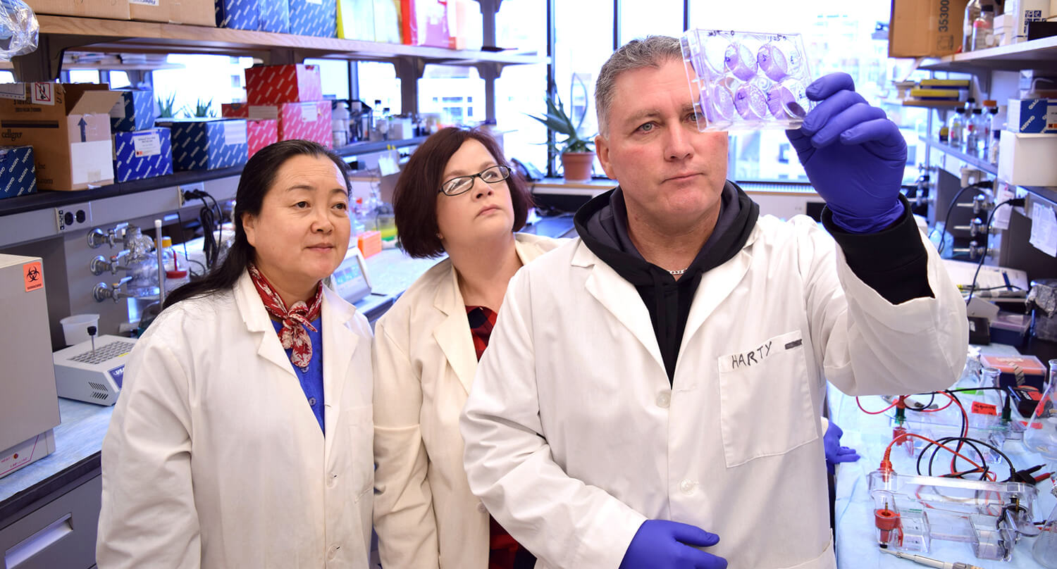 With expertise in analyzing antivirals for diseases like Ebola and Marburg virus, Ronald Harty’s lab is collaborating with other scientists at Penn and elsewhere to determine whether compounds developed to target other diseases may lessen the severity of COVID-19 infections.