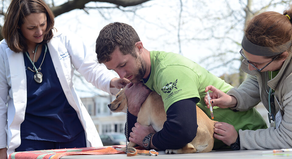 Pets for Life partners with Penn Vet