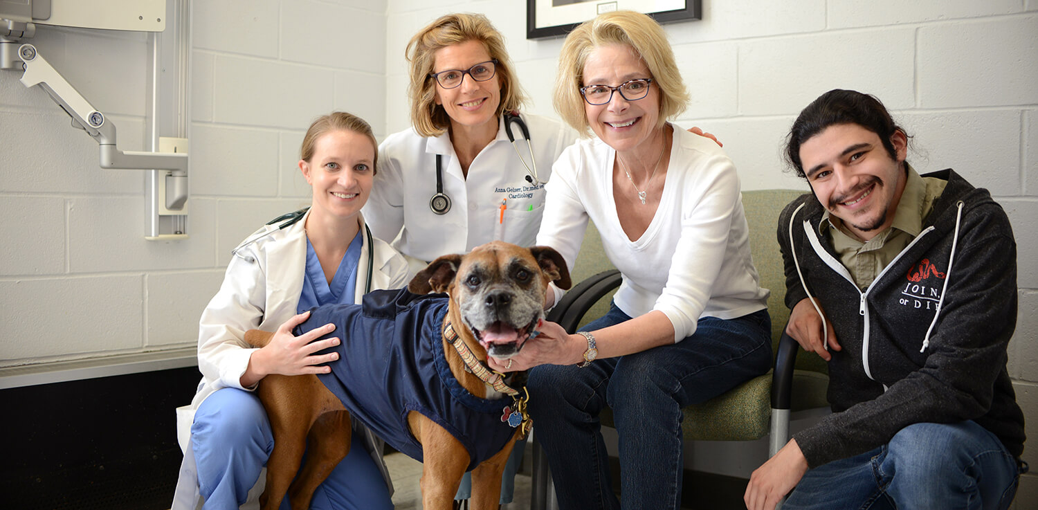 Cardiology resident Alexandra Crooks and cardiologist Anna Gelzer of Penn Vet headed up care for 9-year-old Sophie, the beloved pet of Karen Cortellino, pictured here with her son Alex Peña. Not long after the ablation procedure, Cortellino says the boxer was “back to her perky self.”