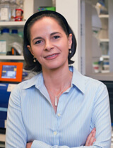 Yasmine Belkaid, NIH IRP
