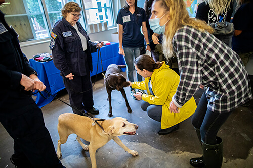 The anniversary celebration served as a reunion for the many handlers, foster families, volunteers, students, donors, and staff who have been involved with the Working Dog Center. Eileen Houseknecht (right), a former foster “parent” to a puppy, visits with search and rescue dogs Pinto and Thunder and their owners and handlers, Pat and Spring Pittore.