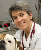 Dr. Nicola Mason, Canine Cancer Studies