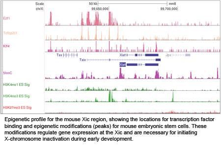 Mouse Sic region contains chromatin modifications