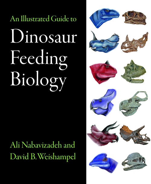 Cover of Dinosaur Feeding Biology Book