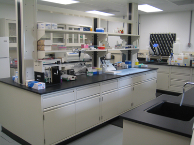 new-bolton-center-asmg-lab-microbial-genomics 400