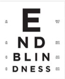 End Blindness 20/20