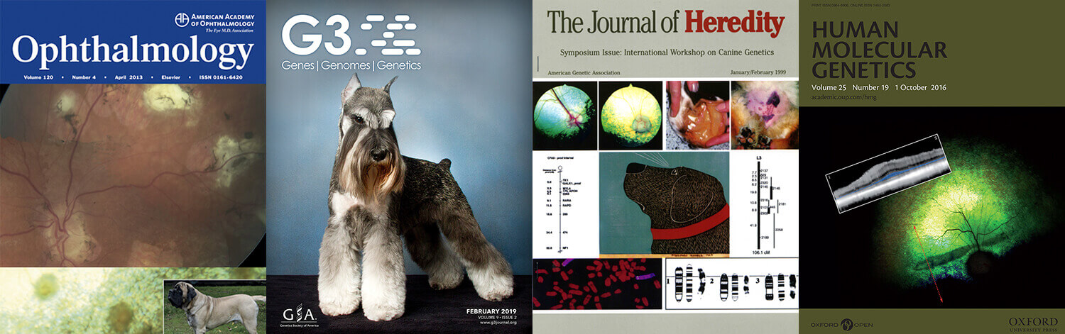 Journal covers featuring research from the Division of Experimental Retinal Therapies