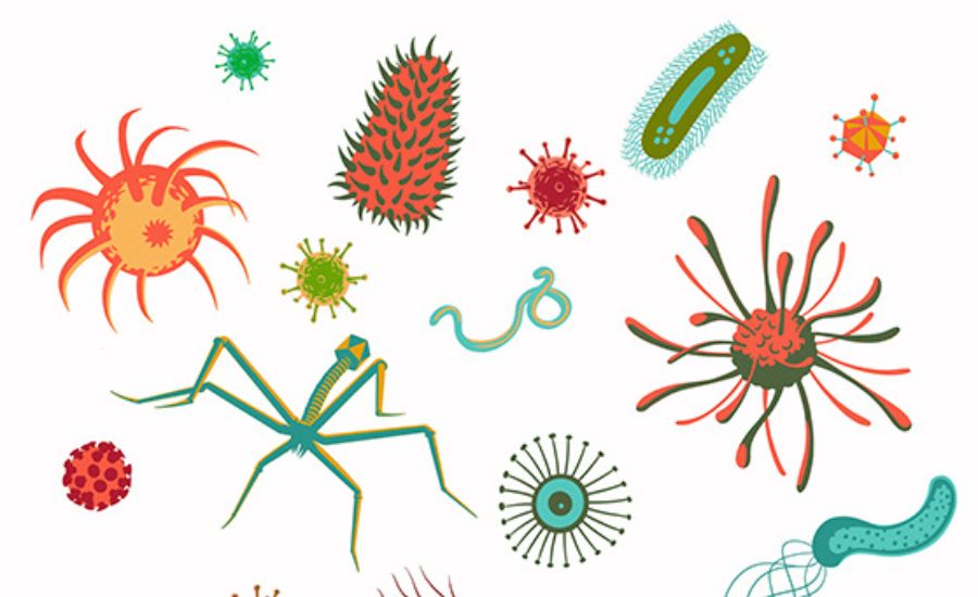 Illustration of Microscopic Diseases