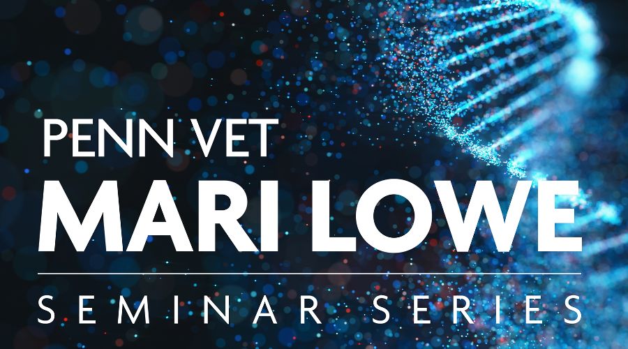 Mari Lowe Seminar Series with Thomas Lee, DVM, MVM, MS of the Flint Animal  Cancer Center at Colorado State University