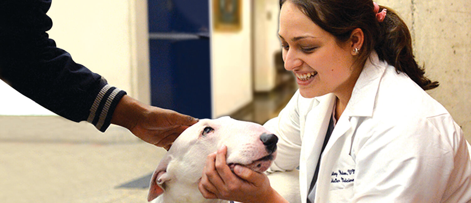 Dr Brittany Watson and her dog