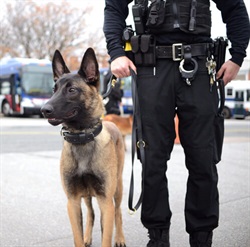 Officer and K9, Law Enforcement Training