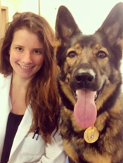 Dr. Meghan Ramos, Penn Vet Working Dog Center