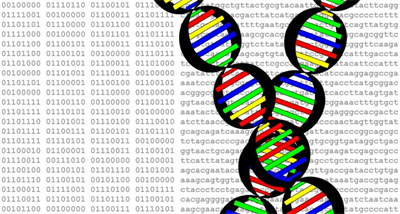 DNA Graphic PennGen1