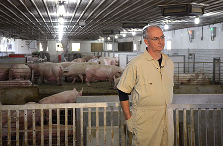 Dr. Tom Parsons in the swine facility