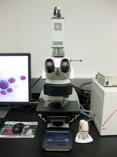 DM6000B microscope, Imaging Core, Penn Vet