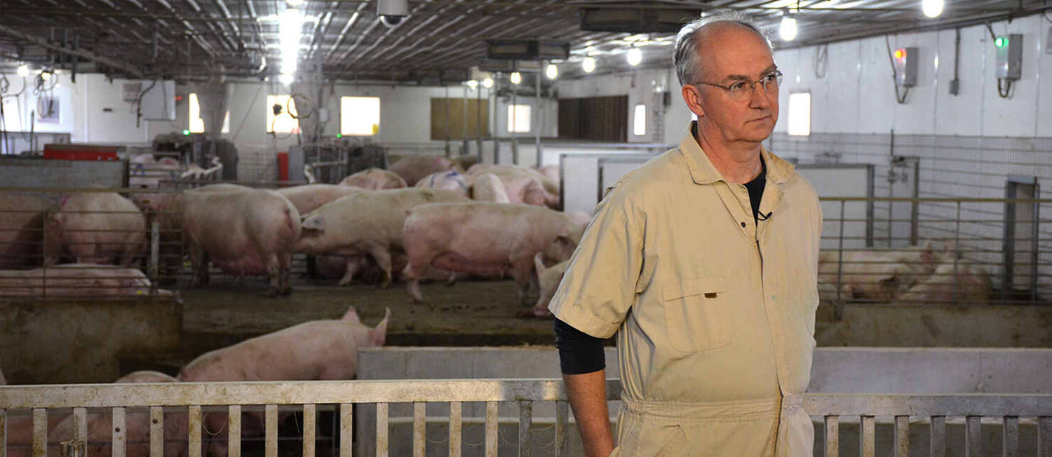 Tom Parsons New Bolton Swine Center