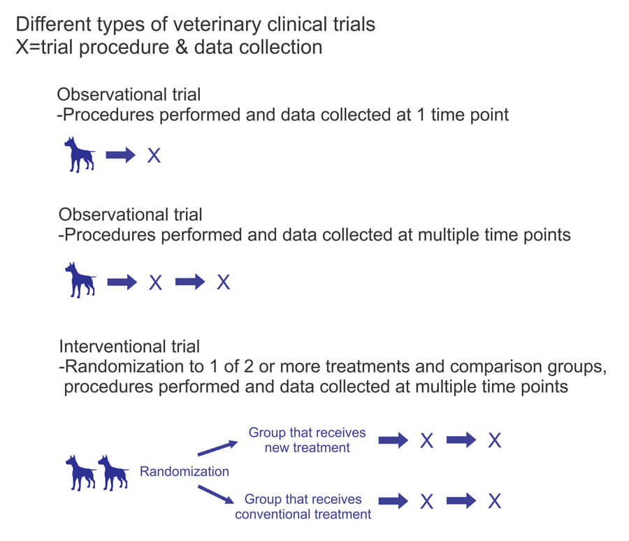 Types of Clinical Trials