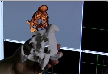 Penn Vet's neurologists study a 3D print of a dog's skull
