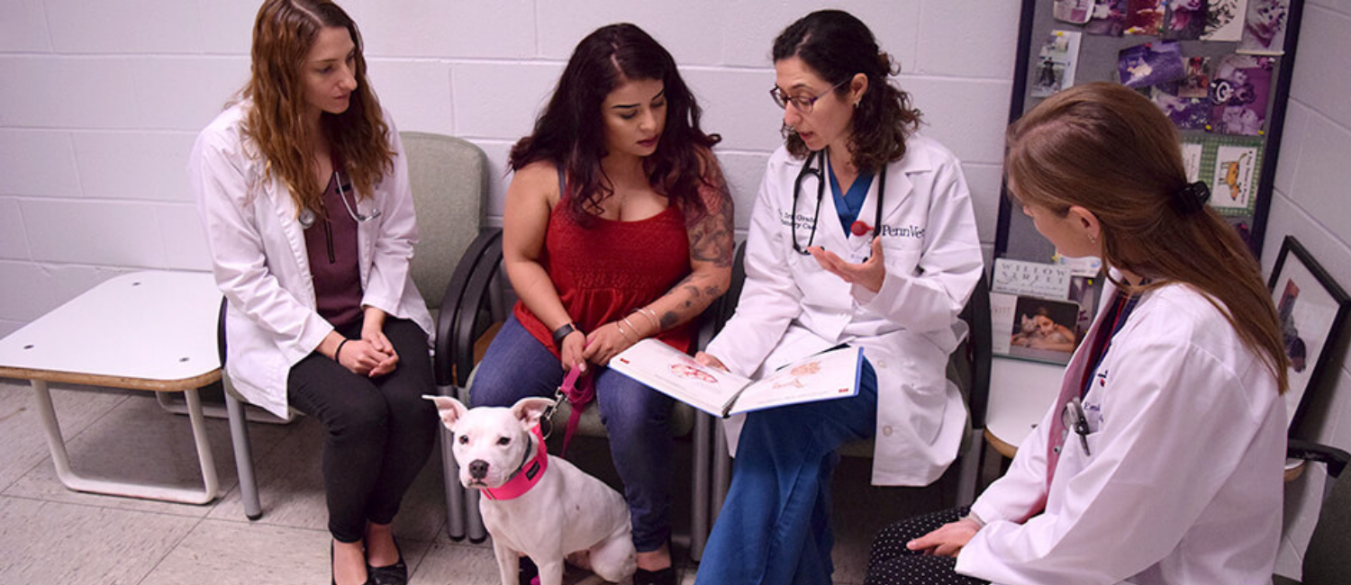 The Primary Care Service at Ryan Hospital provides progressive and evidence-based preventative, basic surgical, and basic medical care to dogs and cats.