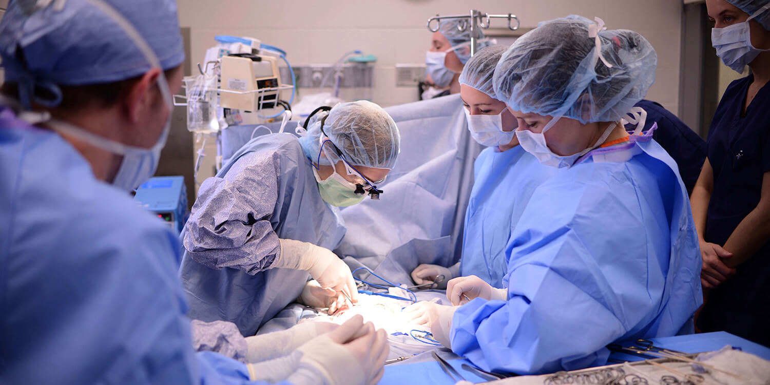 Surgery Team in Ryan Hospital