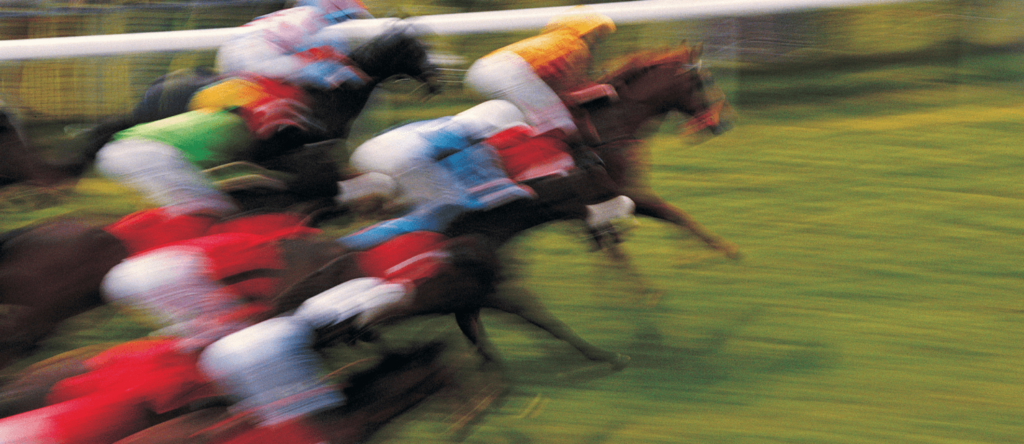 A group of race horses in a race.