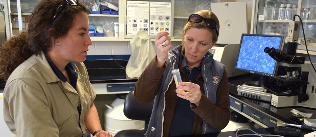 People in a lab using equipment.