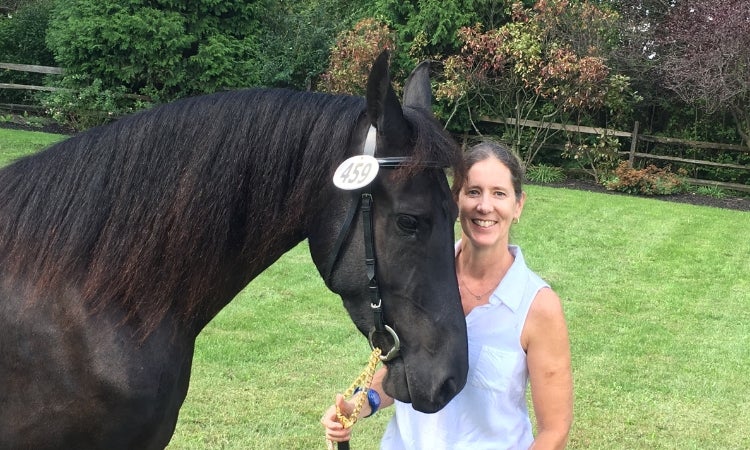 A person is standing next to a horse.