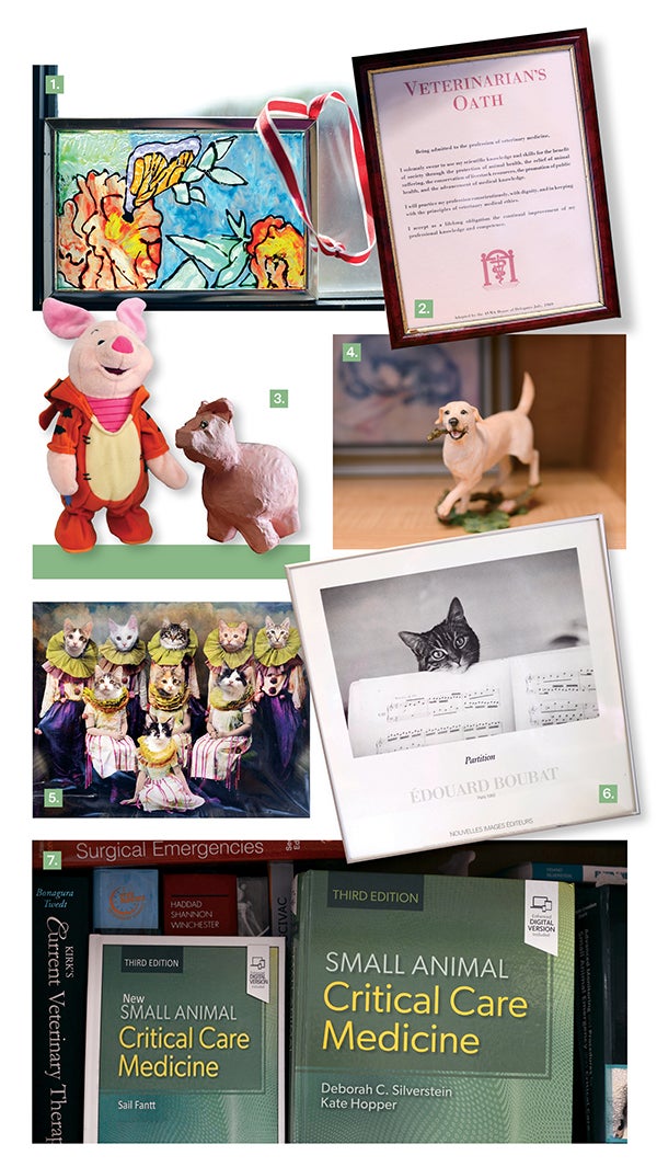 A collage of items found in Dr. Silverstein's office