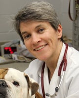 Nicola J. Mason
