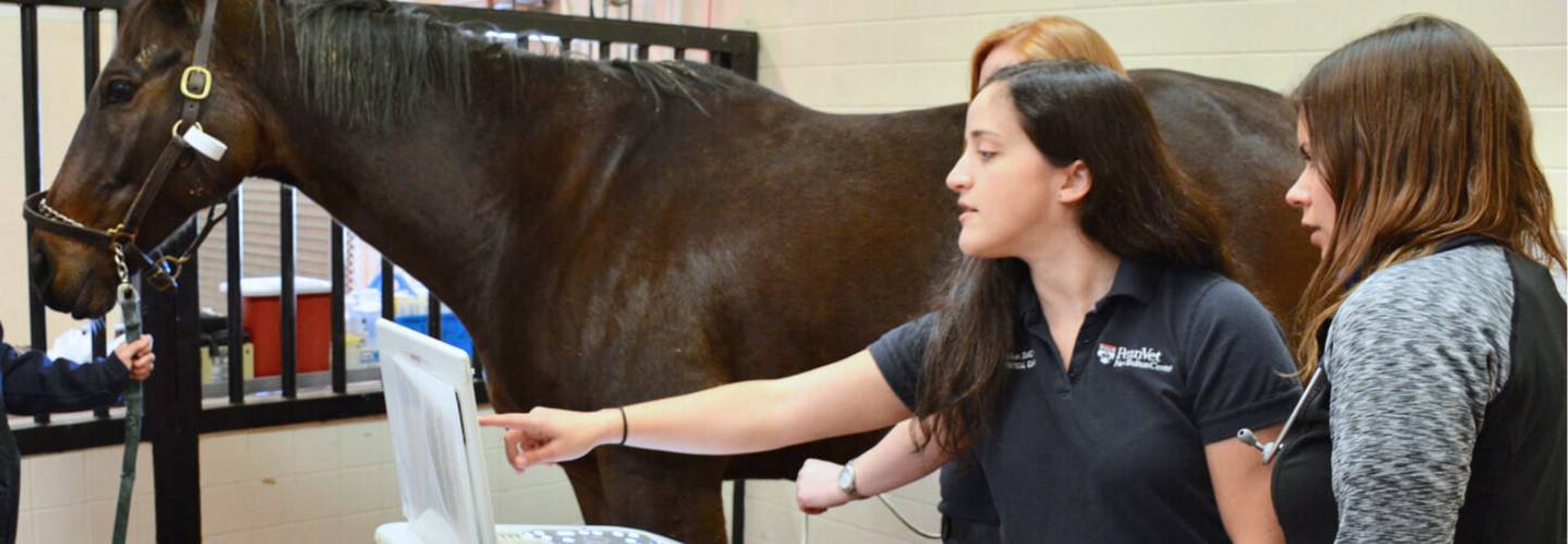 Person pointing to a screen with a horse behind them.