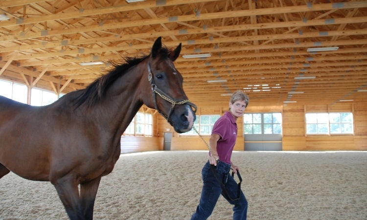 A person trotting with a horse.
