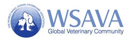 Wsava logo