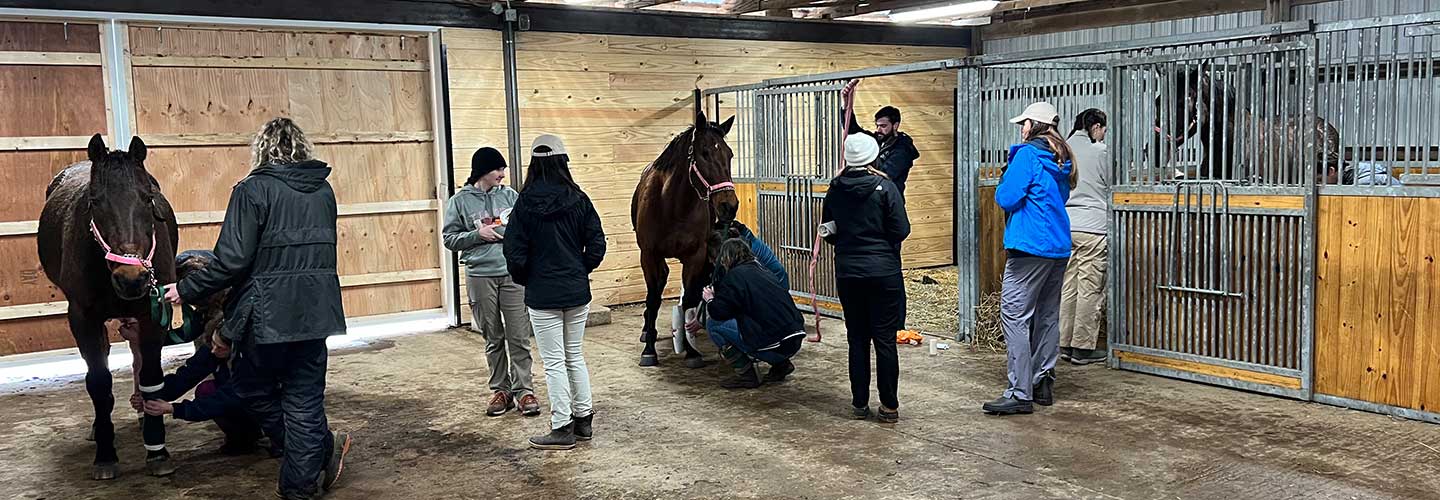 Horses and students at New Bolton Center